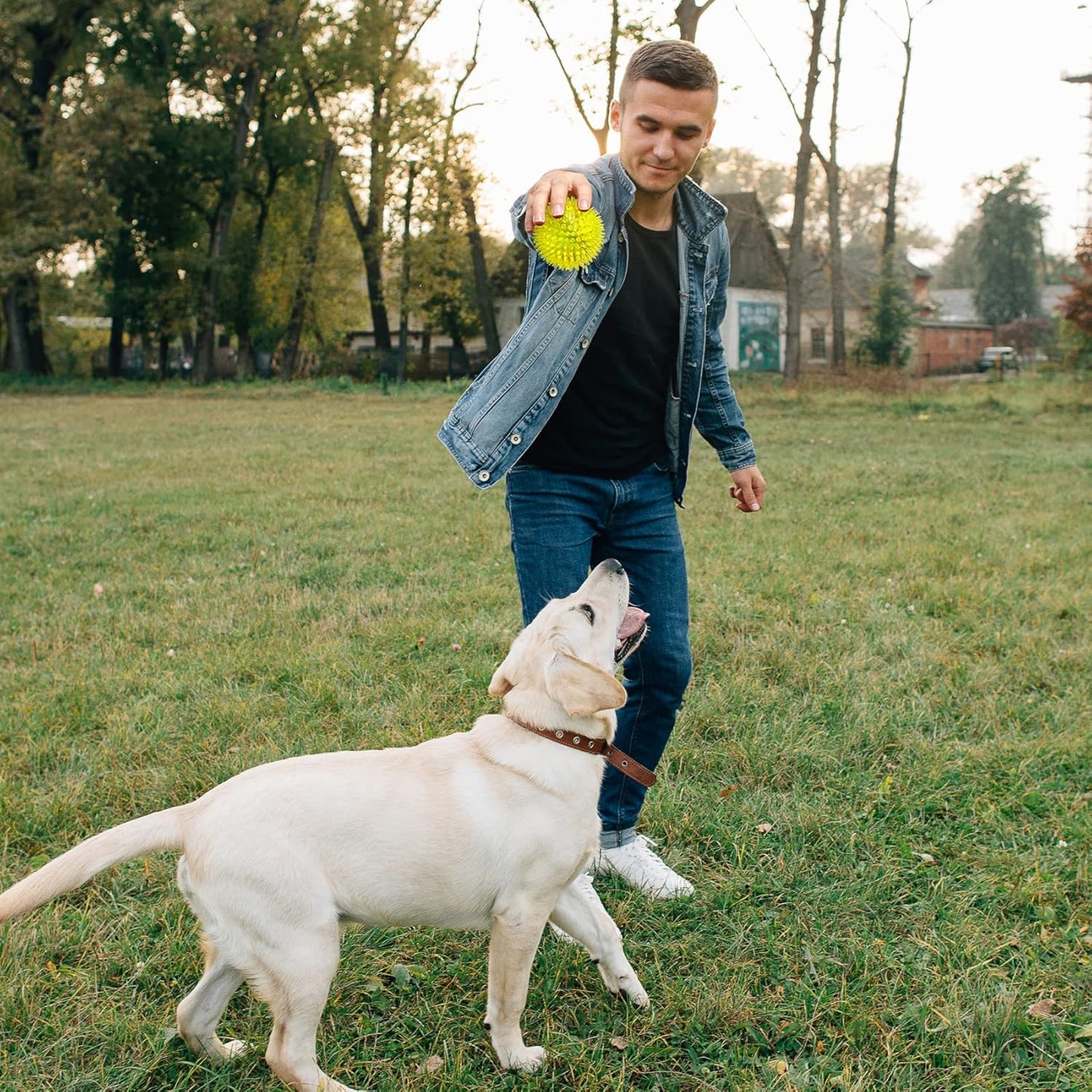 VITEVER 3.5” Squeaky Dog Toy Balls (6 Colors) Puppy Chew Toys for Teething, BPA Free Non-Toxic, Spikey Dog Balls for Medium, Large & Small Dogs, Durable Toys for Aggressive Chewers