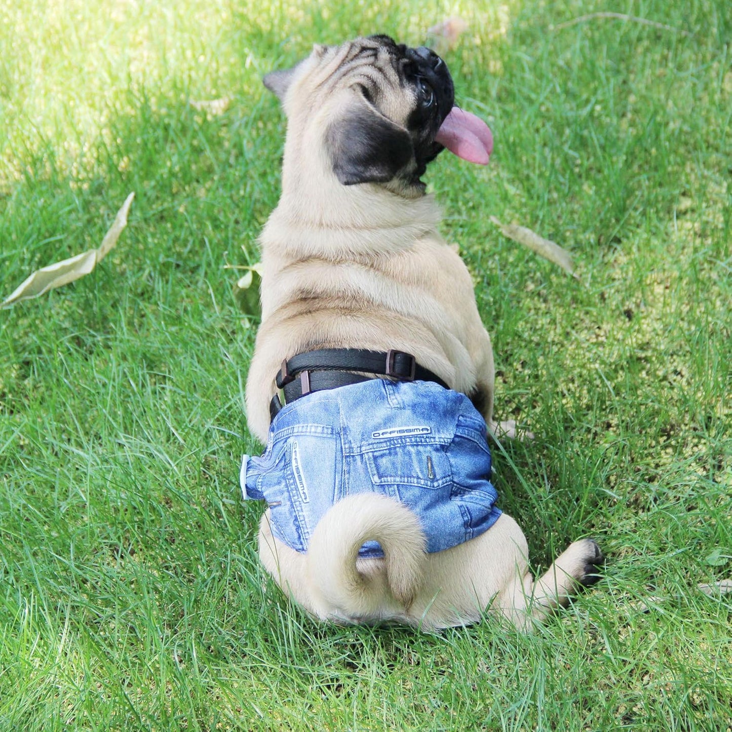 Wegreeco Jeans Washable Dog Diaper Male (Pack of 3) - Washable Male Dog Belly Wrap (Small)