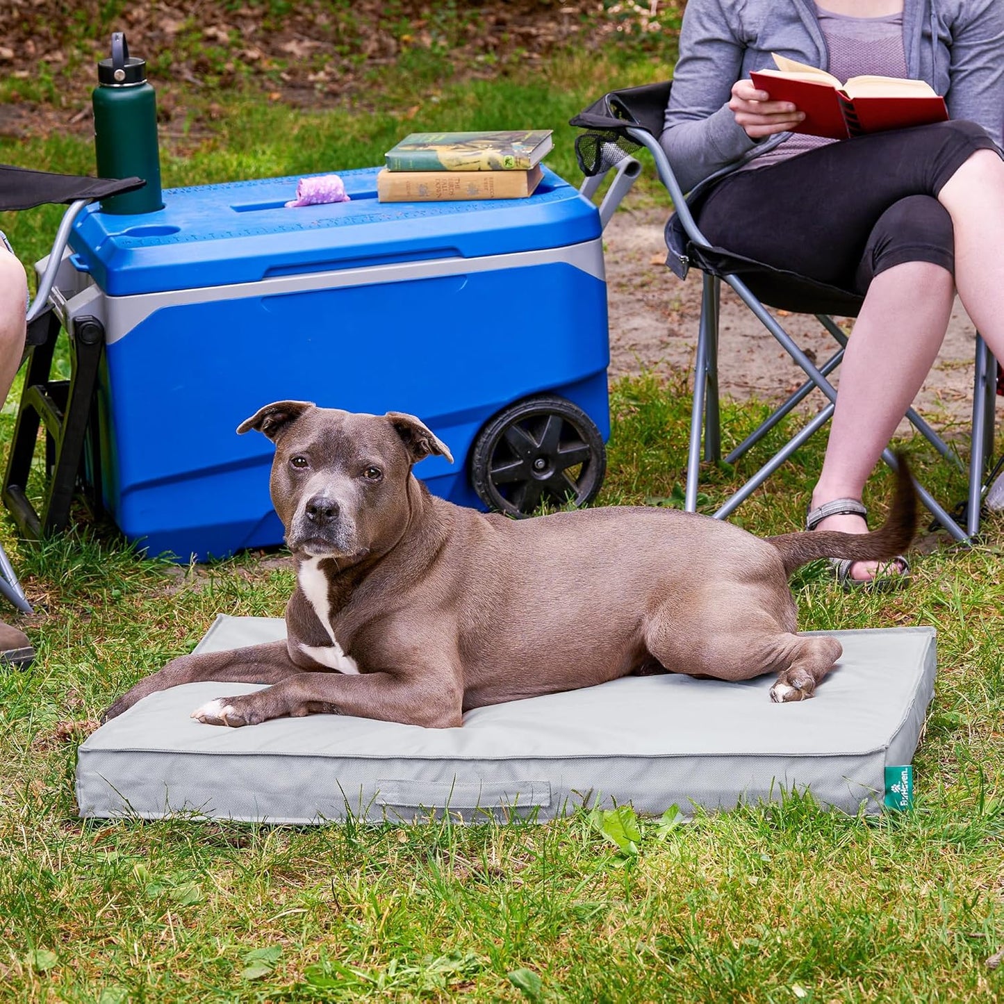 Premium Indoor-Outdoor Deluxe Orthopedic Mattress Pet Bed, Gray Mist, Large