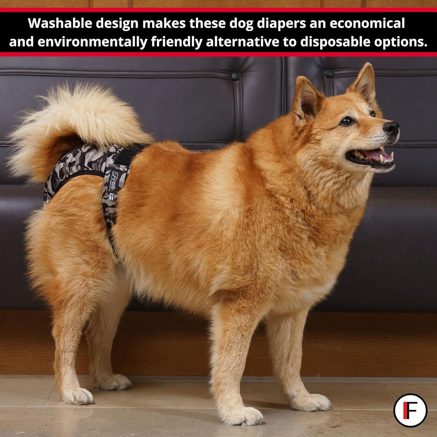FINNERO Brenda Reusable Dog Diaper, Leak-Proof, Adjustable, Heat & Incontinence Protection, M – Gray