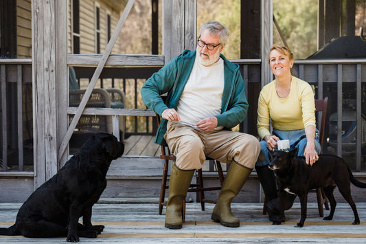 Support Your Senior Dog's Joint: Best Supplements in 2026