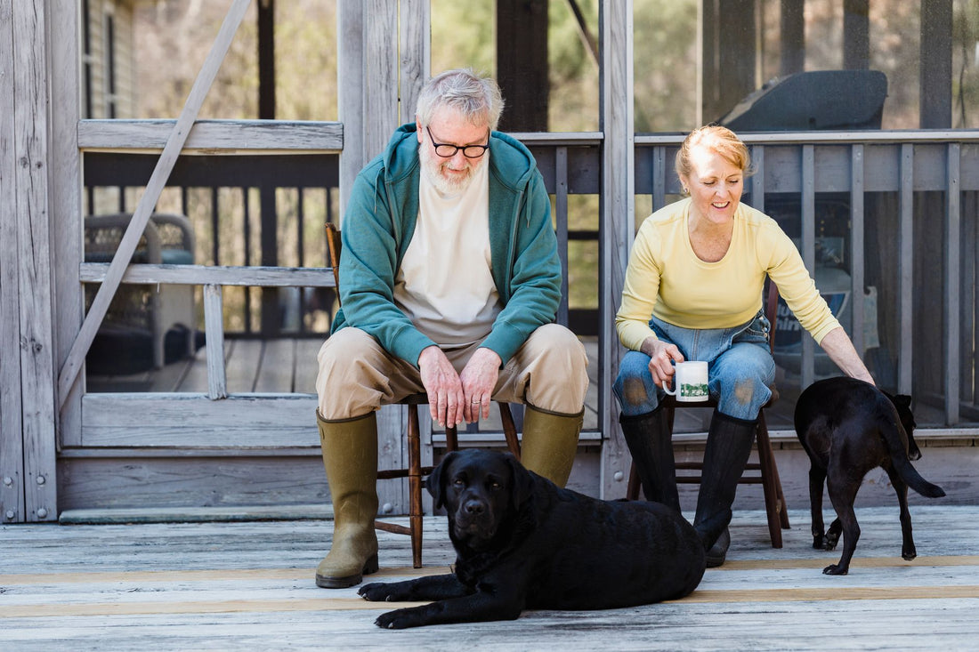 Senior Dog-Friendly Home with Silver Paws Comfort