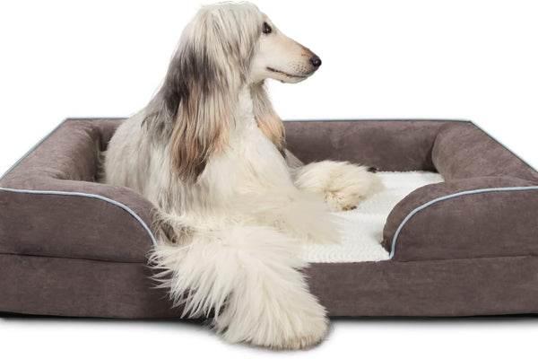 Orthopedic Senior Dog Beds