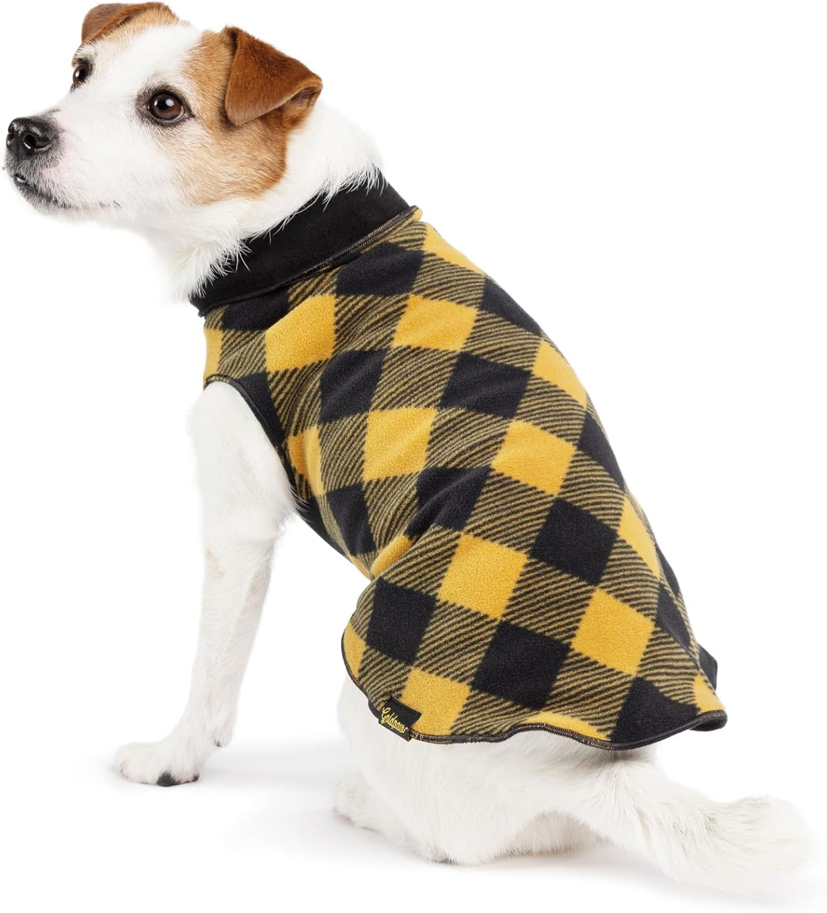 Cold Weather Coats for Senior Dogs