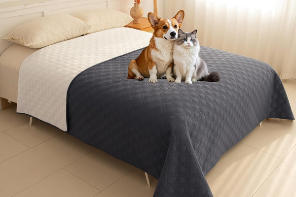 Heated Bedding for Senior Dogs