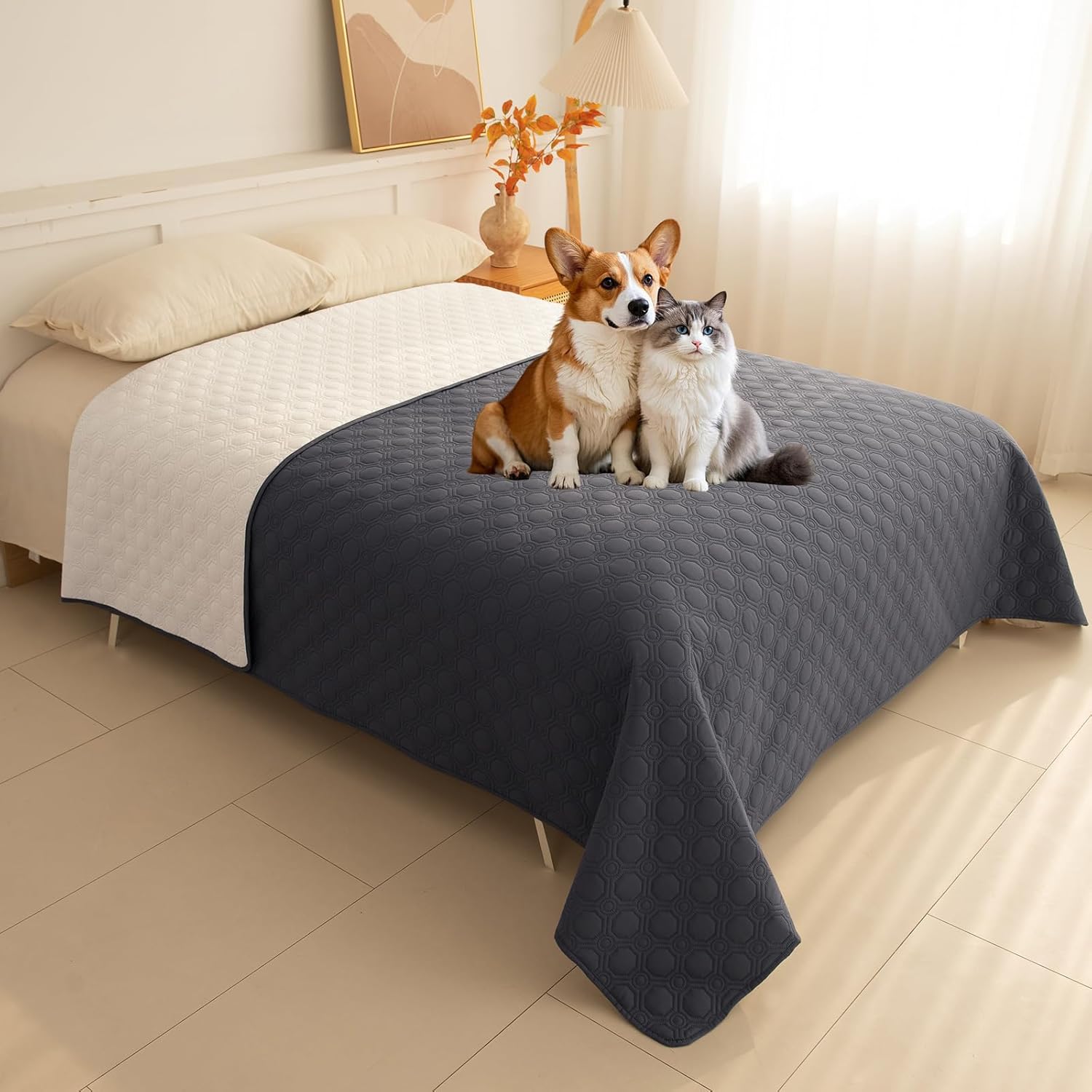 Heated Bedding for Senior Dogs