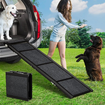 Mobility & Support
