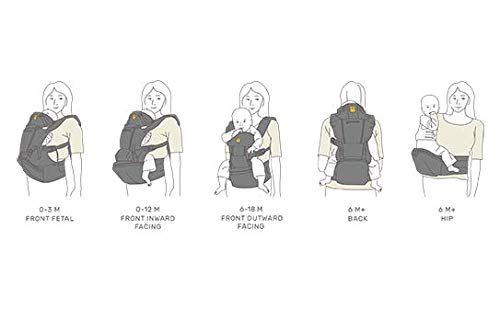 LÍLLÉbaby SeatMe Hip Seat All Seasons Ergonomic 6-in-1 Baby Carrier Newborn to Toddler - with Lumbar Support - for Children 7-45 Pounds - 360 Degree Baby Wearing - Inward and Outward Facing - Plume