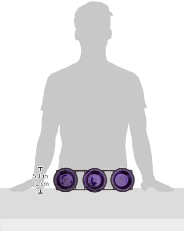 Platinum Pets Triple Diner Feeder with Stainless Steel Cat/Puppy Bowls, .75 cup/6 oz, Electric Purple