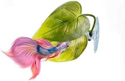 3 Pack Betta Fish Hammock Plant Leaf Pad Fish Spawning Grounds Breeding Resting Bed