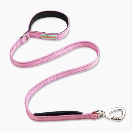 DF Co. Classic Dog Leash | Strain-Free, Shock Resistant, Prevents Jolts, Maintain Control | Durable Waterproof Material with Heavy Duty Clip & D-Ring (Pink, Regular)