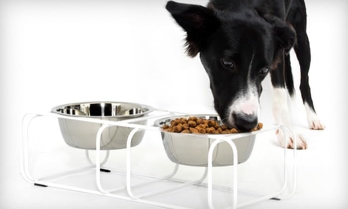 Wire & Dine Elevated Dog Bowls Stand for Small & Medium Sized Dogs & Cats - 2 Stainless Steel 3 Cup Dishes - Non-Skid, Modern Minimalist Design, Dishwasher Safe, White Frame - Made in USA