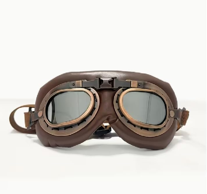 Vintage Dog Goggles with UV Protection, Windproof Pet Sunglasses for Small Medium Dogs, Safe Riding, Traveling, Steampunk Costume, Adjustable Strap, 3 Color (Silver)