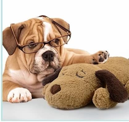 Replacement Heartbeat Box Heartbeat Simulator Box for Puppy Dogs Cats Toy Pets Toys Anxiety Calming Training Behavioral Aid Sleep No Plush Toy