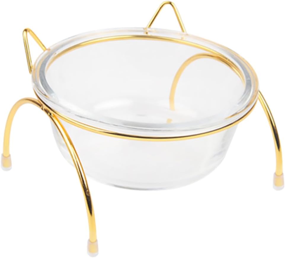 Beaupretty Elevated Glass Cat Food Bowl with Tilted Raised Stand Single Pet Bowl for Indoor Cats and Dogs Feeding