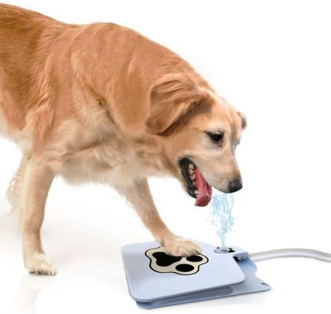 Updated Version Dog Water Fountain Automatic Dog Waterer Step-on Outdoor Fresh Cold Drinking Water for Dogs, Updated Version NO Leakage at All