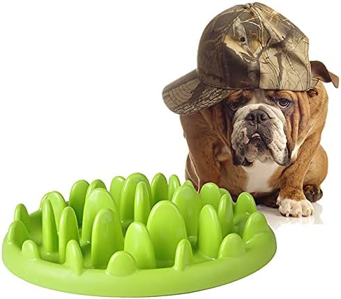 BUYTER Pet Catch Interactive Slow Jungle Feeder Bowl Anti-gulping Feed Diet Dishes (Green)
