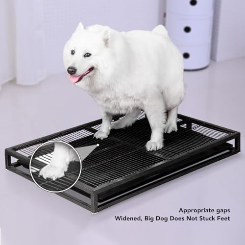 Dog Potty Training Tray with Detachable Drawer, Washable Puppy Pee Pad Holder, 20.5x14.2x3.1 Inches, Medium Size