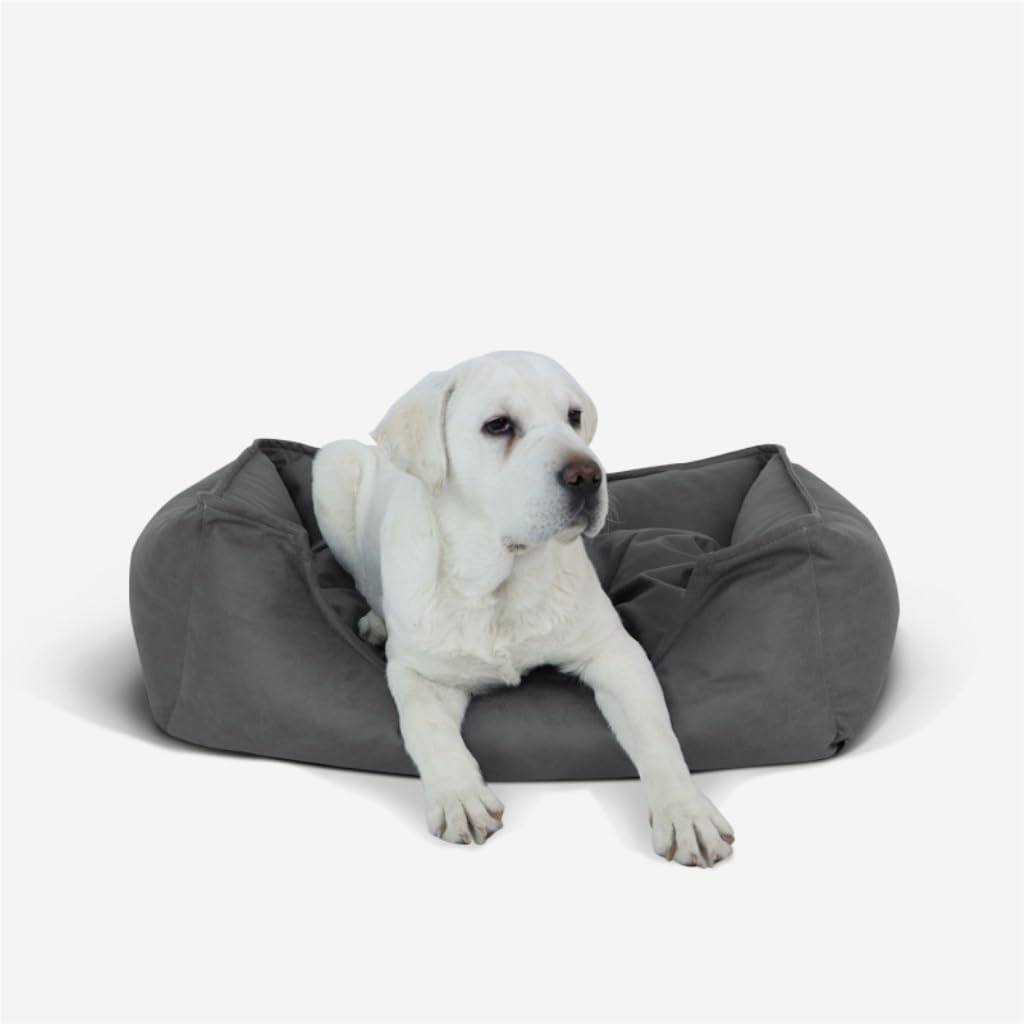 Dog Bed Creative Waterproof Kennel Pet Bed Sofa Cat Kennel Supplies Kennel Sponge Removable and Washable Comfortable Dog Bed Pet Bed (Color : Gray, Size : M:72 * 50 * 20cm) (Coffee XL:104*90*20cm)