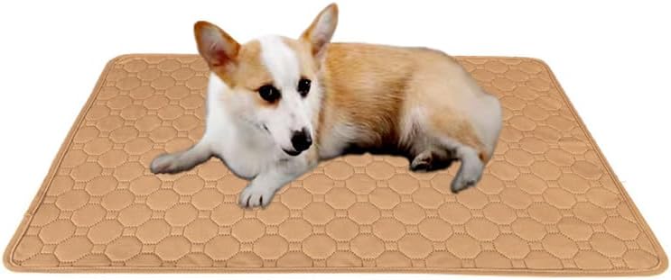 Ovale Waterproof Dog Cover, Dog Mat, Fast Absorption, Reusable, Non-Slip, for Small and Medium Dogs( 24" x 18”, Beige)