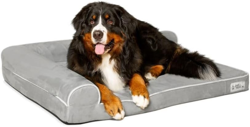 PetFusion BetterLounge Orthopedic Dog Bed | Solid CertiPUR-US Memory Foam, Waterproof liner | Medium / Large & XL | Removable Micro-Suede Cover Available Separately, 1 YR Warr,Grey