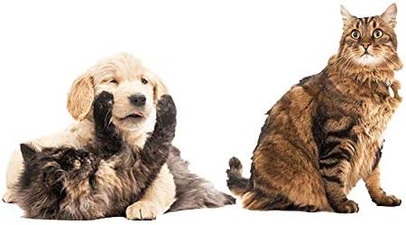 Dog Joint and Relief - PET Joint Health - Dogs and Cats - Turmeric and MSM - Increase Mobility - Decrease - Premium - Dog glucosamine and chondroitin - 3 Bottles (180 Tablets)