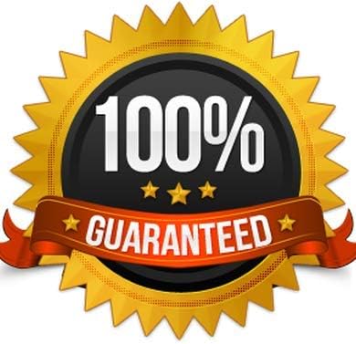Dog Skin Pills - Dog Healthy Hair and Coat - Shinny Coat - Skin Health - Immune Support - Nail Health - quercetin for Dogs - 120 Treats (2 Bottles)
