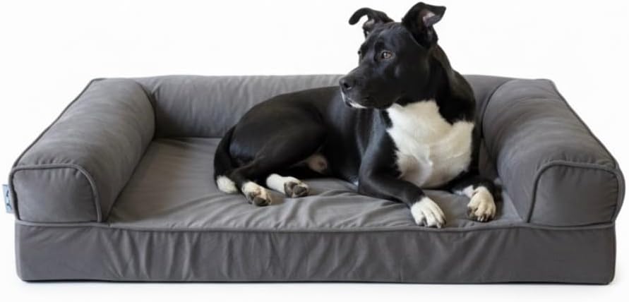 Dual-Layer Orthopedic Dog Bed for Medium & Large Dogs – Cozy, Velvety, Machine-Washable, Odor-Resistant (Gray, Large)