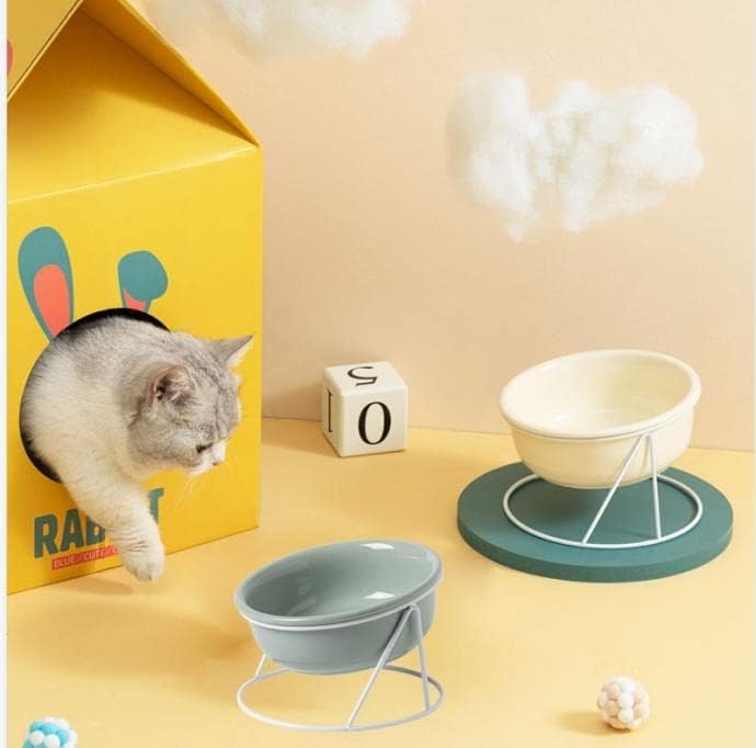 Raised Cat Bowl Ceramic Cat Food Bowls Tilted Elevated Cat Bowl for Food and Water Dog Cat Feeding Bowls with Stand for Cats and Small Dogs