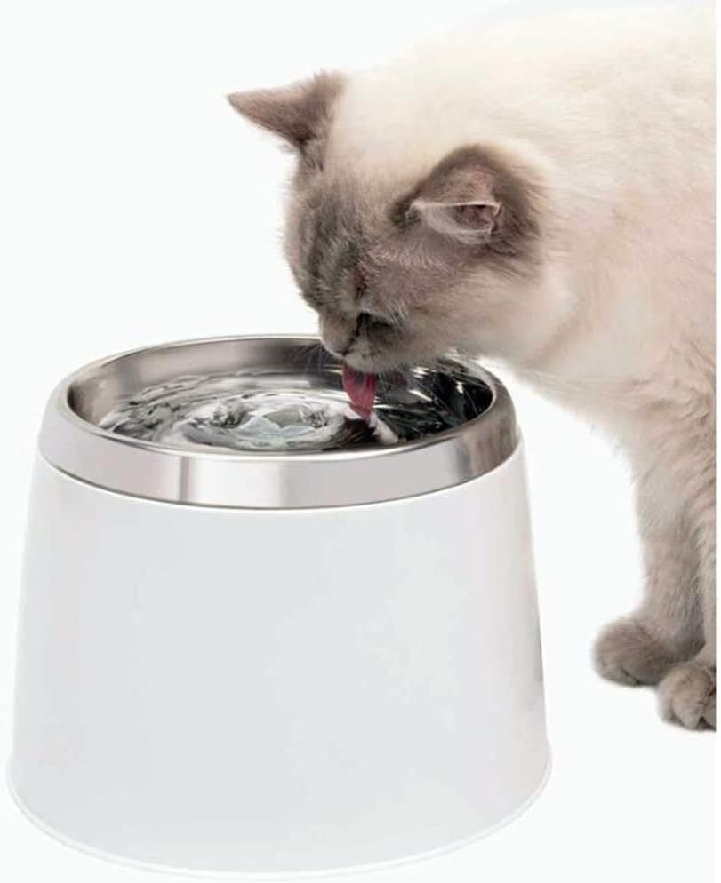Cat Dog Water Fountain Stainless Steel Pet Water Fountain for Cats Dogs Automatic Cats Dog Water Dispenser Other Pets
