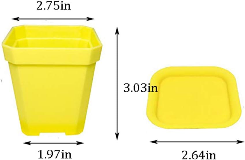 24 Pack 3inch Multi Color Square Plastic Plant Pots,Seedling Nursery Transplanting Planter Container Indoor Outdoor for Your Room,Garden Office and Balcony Decor