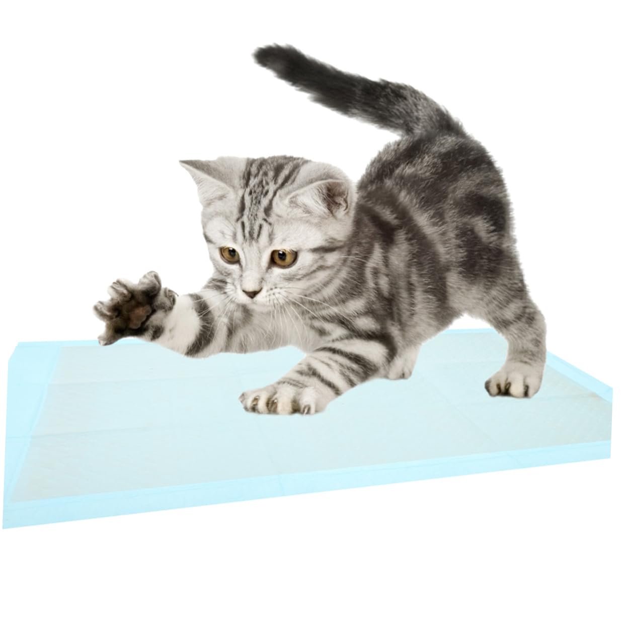 BESTOYARD 50pcs Absorbent Pet Training Pads Leak Dog Cat Pee Pads Non-Woven for Indoor Use for Puppies Kittens and Pets Optimal