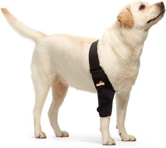 NeoAlly Dog Elbow Brace Protector Pads for Canine Elbow and Shoulder Support Elbow Hygroma, Dysplasia, Osteoarthritis, Elbow Calluses, Pressure Sores and Shoulder Dislocation (Right Leg, Large)