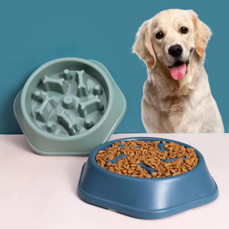 Slow Feeder Anti Gulp Easy Digestion Feeder Bowl (Light Green, Medium)