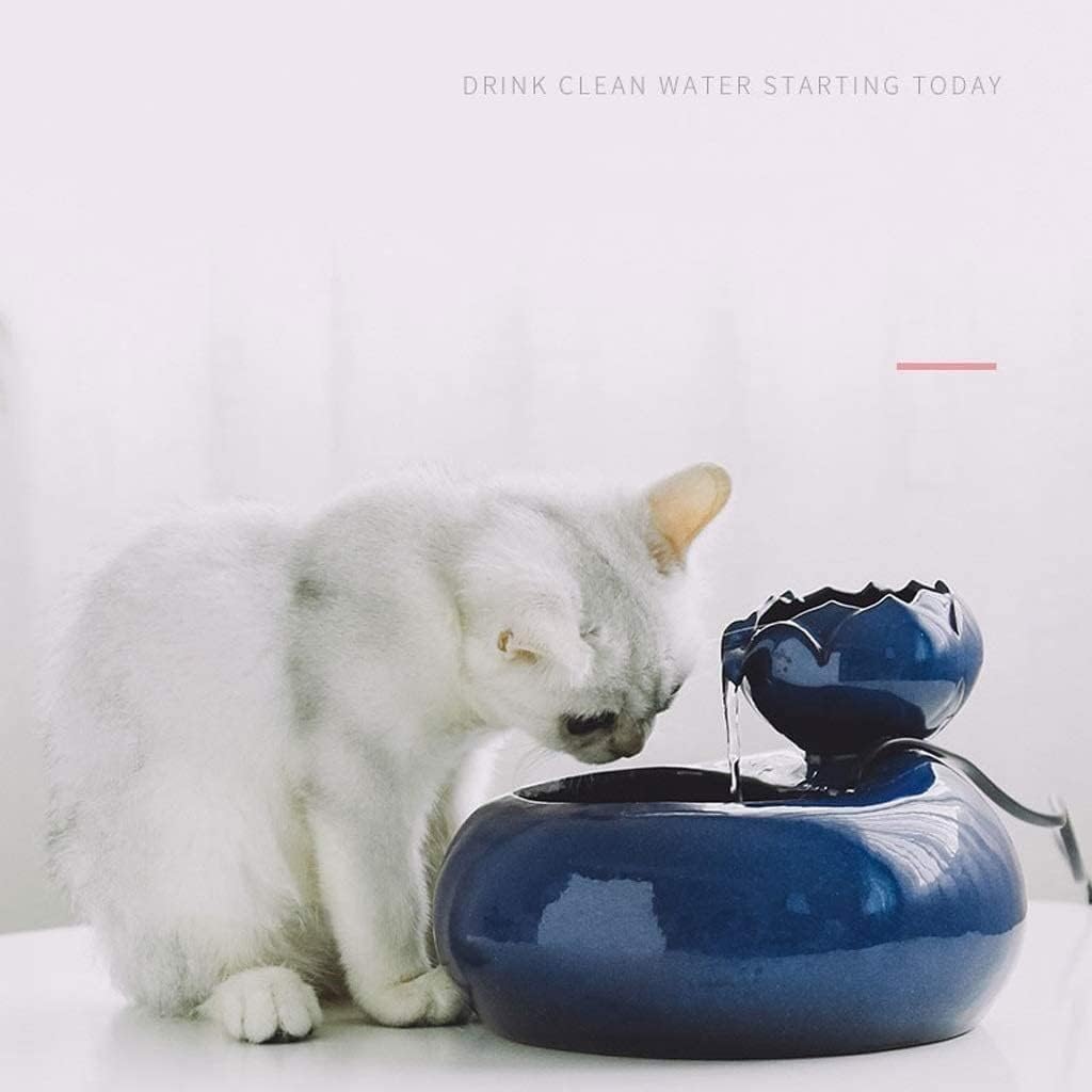 Fountain Portable Cat Puppy Drinking Fountains Pet Water Dispenser Automatic Circulation Animal Supplies Basin Water Bowl Ceramic Pet Water Dispenser (Color : Brown) (Blue)