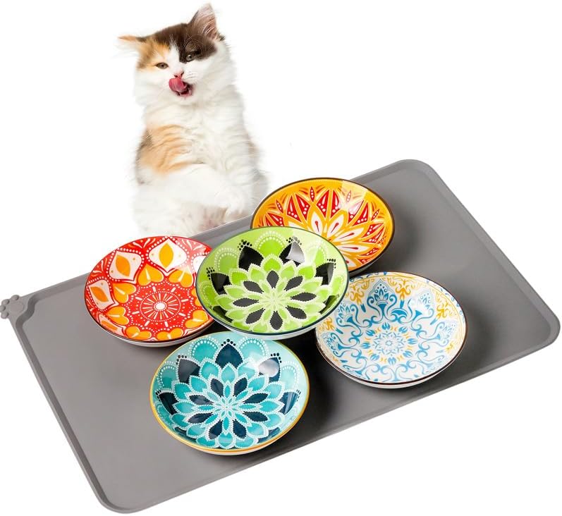 Boho 5 Ceramic Cat Bowls with Silicone Mat, 5.5 inch Wide Shallow Cat Food Bowl for Whisker Relief