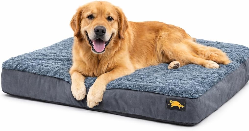 Orthopedic Dog Bed, X Large, Gray, Plush Cover, Removable Washable Cover, Water Resistant Bottom, Supportive high Density Foam (42X30x3.5) Size