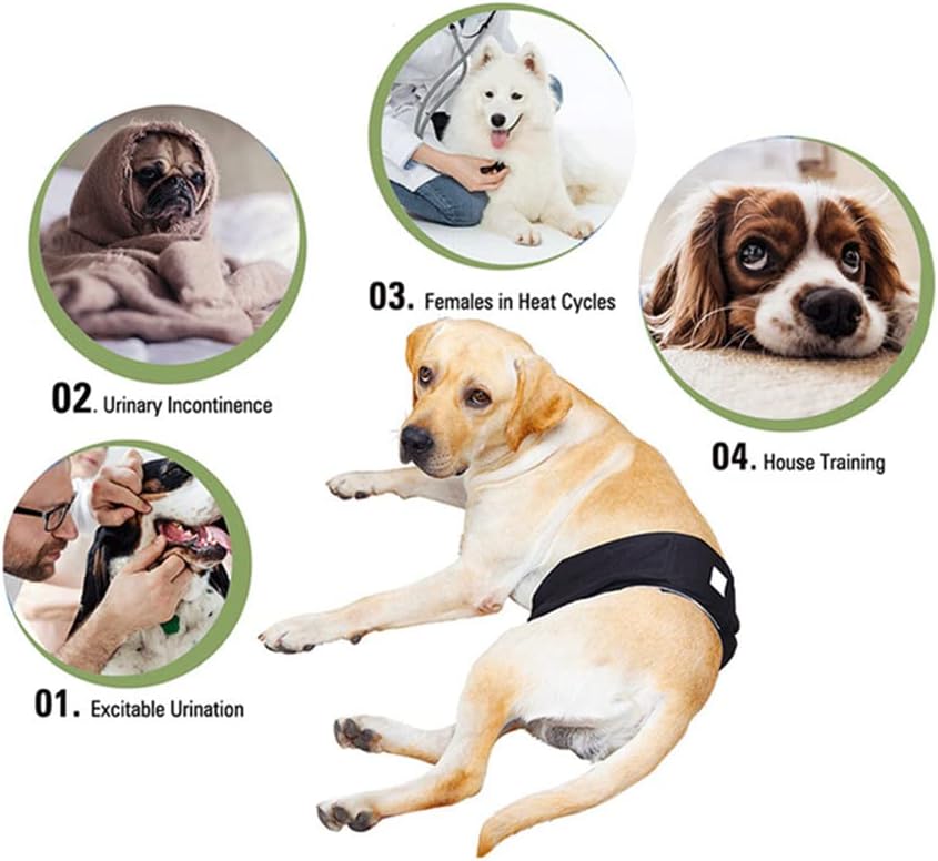 Male Dog Diapers Washable Dog Belly Bands Reusable Doggie Wraps - Pack of 3 (Cow, Large(17''-21''))