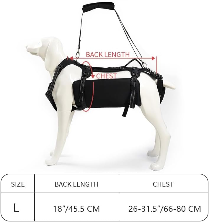 Coodeo Dog Lift Harness, Support & Recovery Sling, Pet Rehabilitation Lifts Vest Adjustable Breathable Straps for Old, Disabled, Joint Injuries, Arthritis, Paralysis Dogs Walk (Black,L)