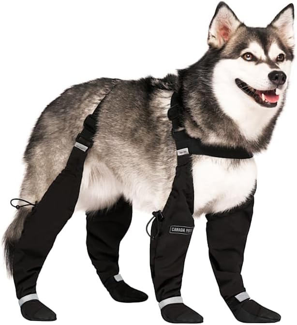 Canada Pooch Suspender Boots for Dogs, 3, Black