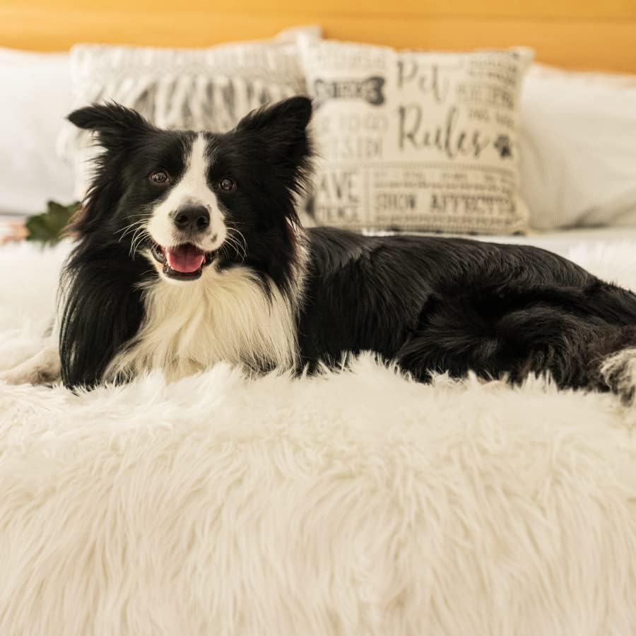PupProtector Waterproof Throw Blanket for Dogs and Cats, Pet Blanket Cover for Couches, Sofas, Beds, Car Seats, Furniture, Calming Soft Faux Fur, Polar White, Original (60" L x 50" W)
