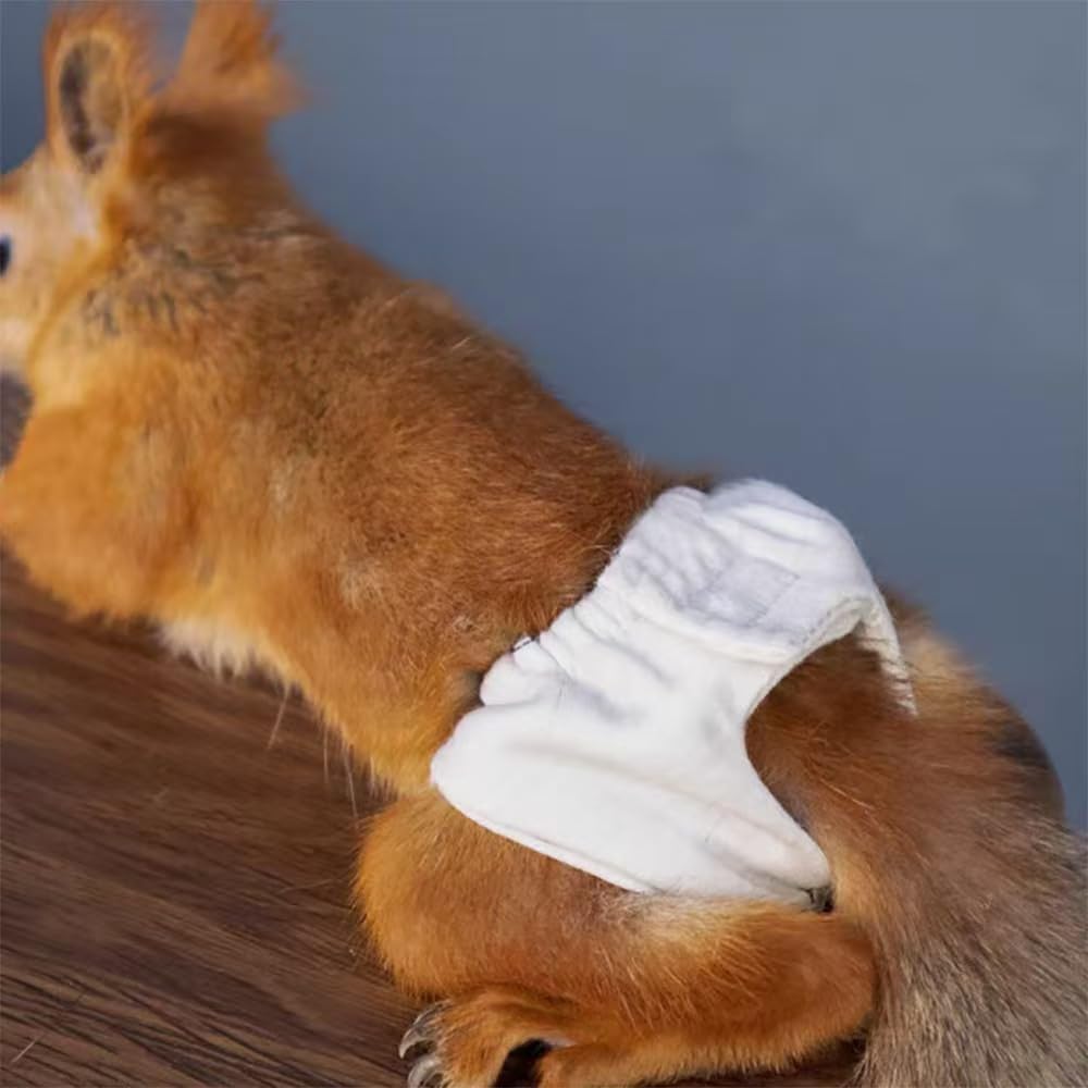 5PCS Small Pet Diapers, Adjustable Sugar Glider Diapers, Reusable, Washable, Specially Designed for Use on Pet Squirrels Guinea Pig (L)