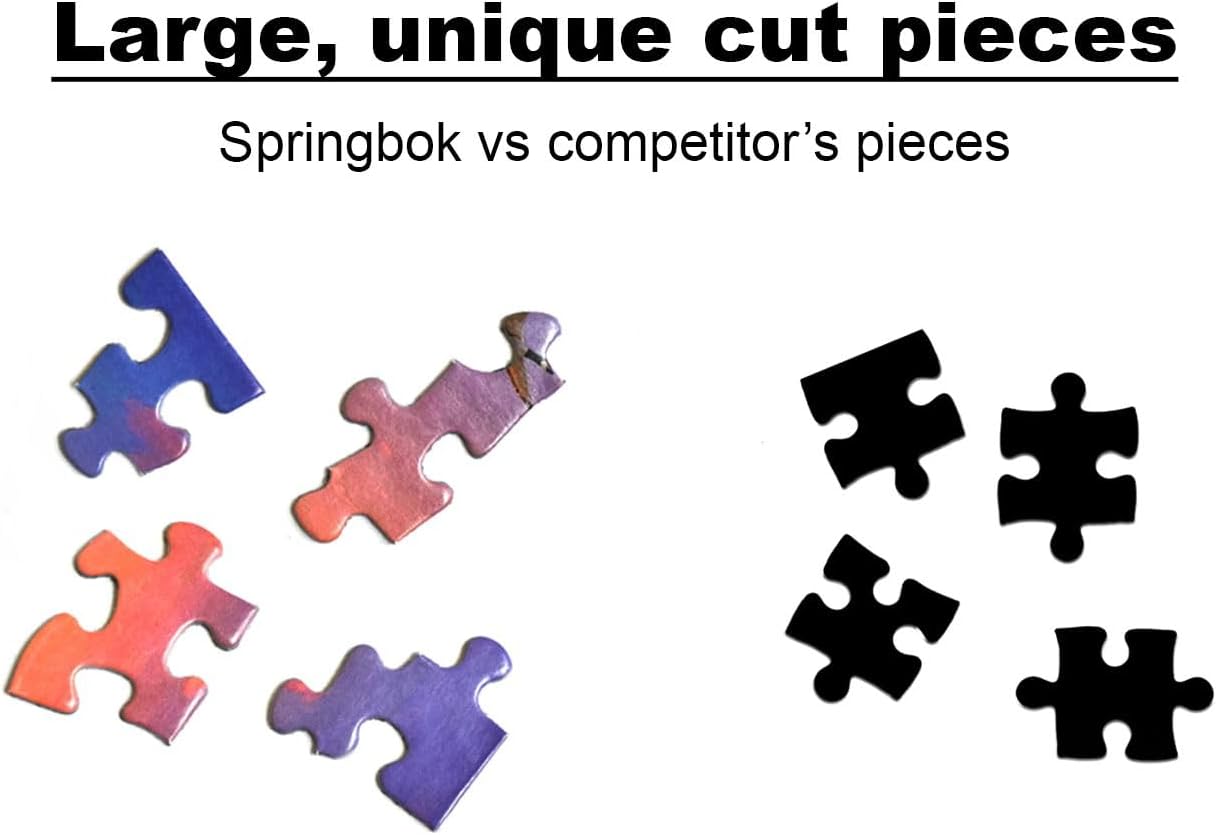 Springbok Groovy Records 1000 piece Jigsaw Puzzle for Adults features a colorful illustration of a classic record store
