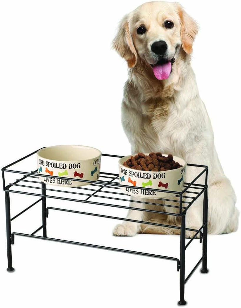 PetRageous 81032 Brady's Set the Table Steel Frame Dog Feeder 10-Inch Tall by 20-Inch Long and 10-Inch Wide, Holds Two 9-Inch Diameter Bowls, for Large Dogs and Extra Large Dogs, Black