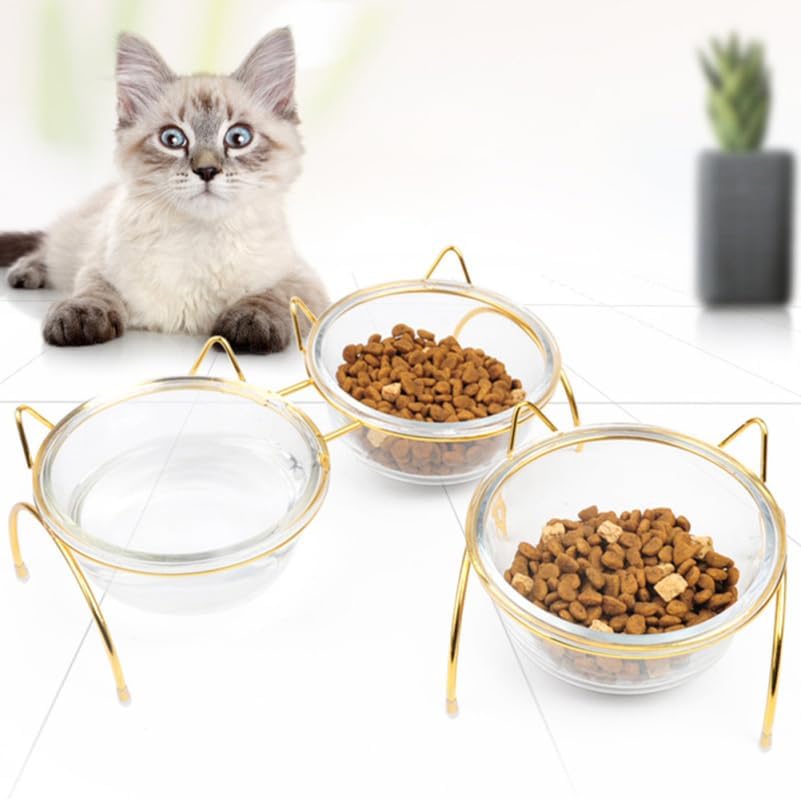 Elevated Glass Cat Food Bowl with Tilted Metal Stand, Single Raised Pet Dish for Neck Guard & Orthopedic Comfort, High Cat Feeder for Water or Food, Indoor Small Dog Bowl with Gold Rack