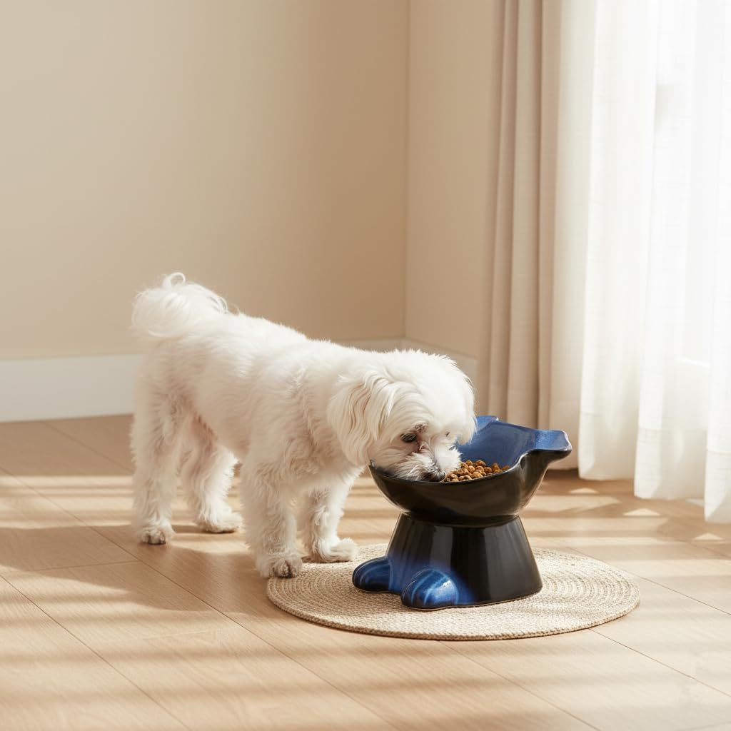 Nihow Elevated Ceramic Dog Bowls: 6.5 Inch Raised Small Dog Bowl for Food & Water - Food Safe Bowl for Medium/Small Size Dogs - Vivid Blue Puppy Bowls for Protecting Pet's Spine (1 PC)