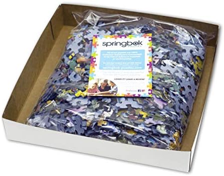 Springbok Groovy Records 1000 piece Jigsaw Puzzle for Adults features a colorful illustration of a classic record store
