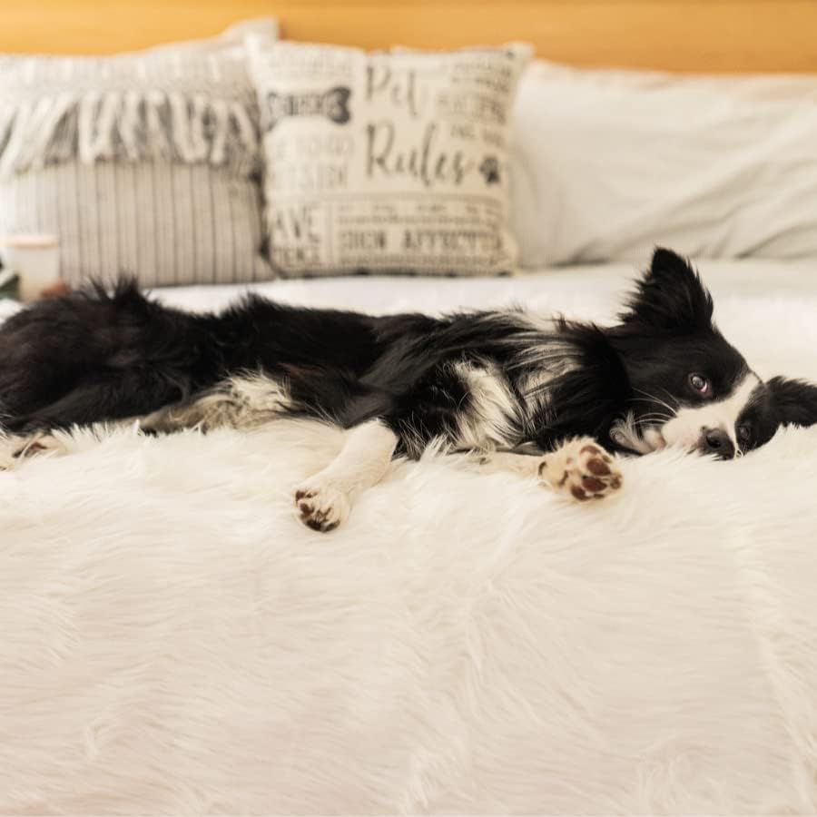 PupProtector Waterproof Throw Blanket for Dogs and Cats, Pet Blanket Cover for Couches, Sofas, Beds, Car Seats, Furniture, Calming Soft Faux Fur, Polar White, Original (60" L x 50" W)
