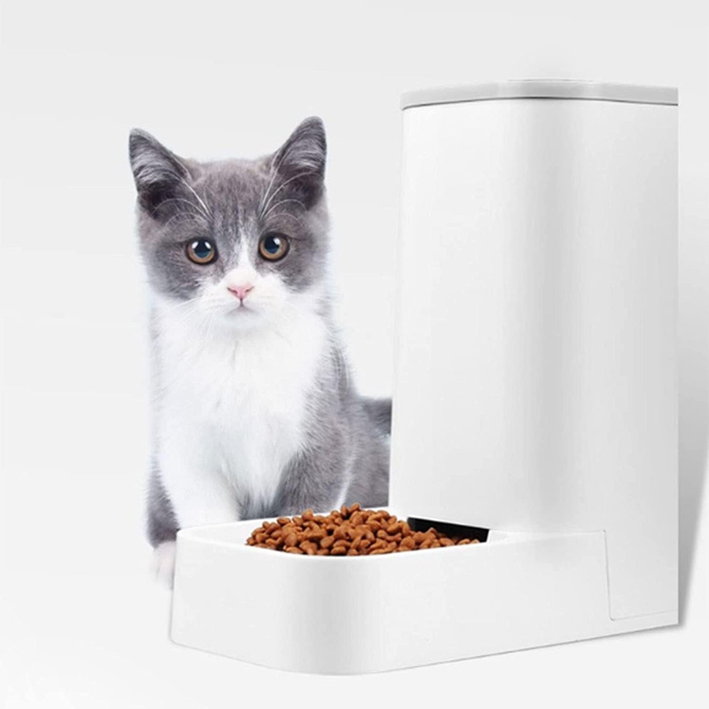 Fountain Automatic Feeder Set for Pet Dog Cat Water Dispenser Fountain Plastic Safety 3.6L Dog Cat Feeding Bowl Gravity Pet Food Feeder and Water Dispensers Pet Water Dispenser