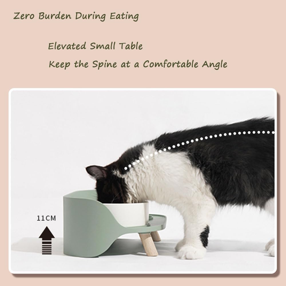 Elevated Cat Food Stand, Cervical Spine Protection Pet Bowls, Splash Proof Modern Dog Bowls, Raised Cat Food and Water Bowl Set